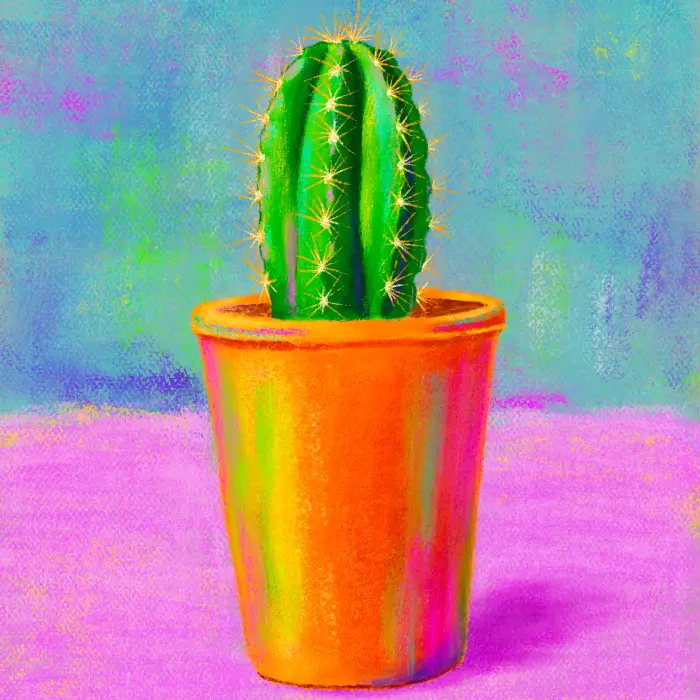 Kaktus Illustration